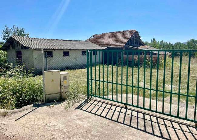 Нива со цреши во Косел - 3